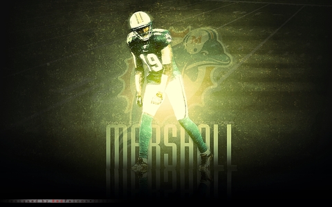 marshall wallpaper. Brandon Marshall wallpaper